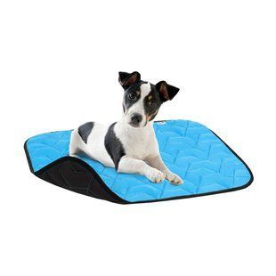 Підстилка AiryVest для собак, блакитна/чорна, розмір L, 100х70 см 0087 фото