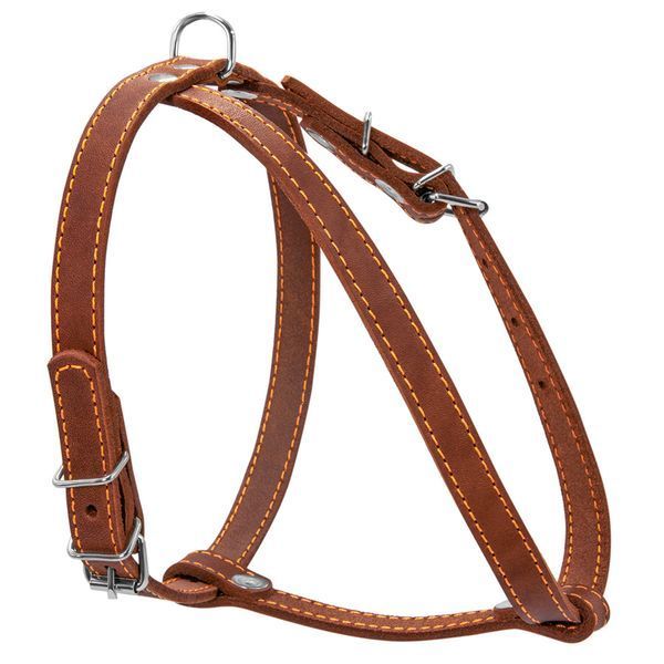 Шлея "CoLLaR" одинарна для малих порід собак (ширина 14мм, А:40-48см, В:43-51см) коричневий 06346 фото