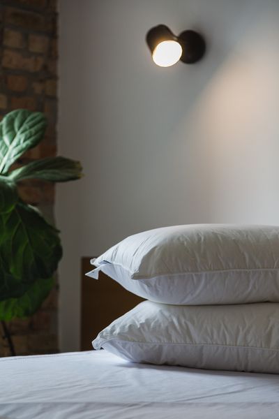 Подушка Ecotton 50х70 см Ecofill Premium антиалергенна з біопухом біла в чохлі для зберігання White 25069 фото