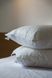 Подушка Ecotton 50х70 см Ecofill Premium антиалергенна з біопухом біла в чохлі для зберігання White 25069 фото 1