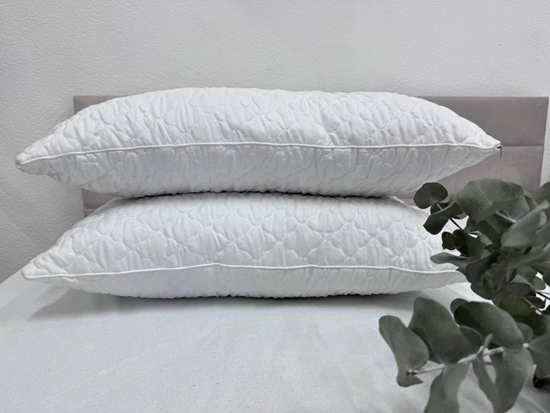Подушка Ecotton 50х70 см подвійна з чохлом на блискавці із мікрофібри біла White (Novita) 23983 фото