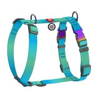 Шлея для собак анатомічна H-подібна WAUDOG Nylon Recycled з QR-паспортом, градієнт, L, Ш 25 мм, А 50-90, В 65-95 блакитний 52882 фото