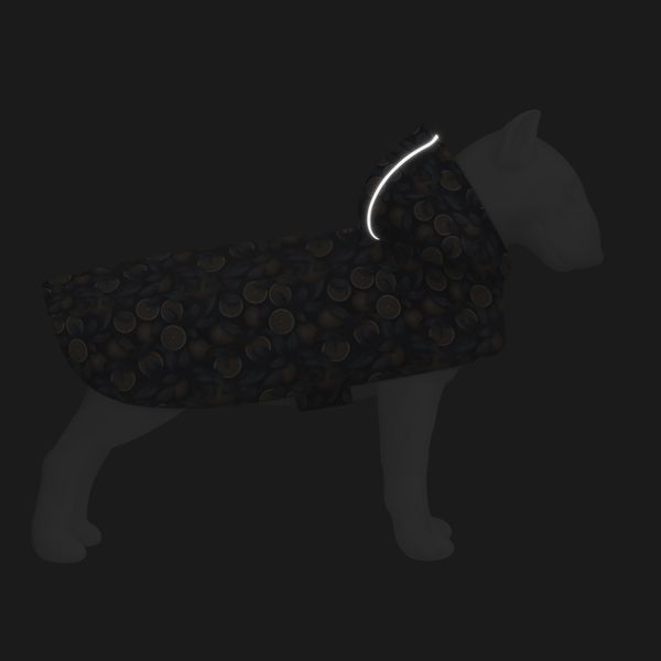 Дощовик-накидка з капюшоном для собак WAUDOG Clothes, малюнок "Апельсини",L, А 48-52 см, B 60-70 см, С 42-52 см 358-4054 фото