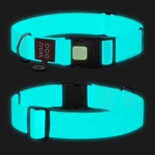 Нашийник для собак водостійкий WAUDOG Waterproof з QR паспортом, світлонакопичувальний, пластиковий фастекс, XXL, Ш 40 мм, Дов 46-70 см 2509 фото