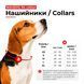 Шлея для собак м'яка WAUDOG Clothes c QR-паспортом, світловідбивна, XS4 B 36-39 см, C 26-28 см 43861 фото 2