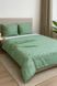 Комплект постільної білизни Ecotton Євро 210х220 см зелений (21213АВ) 23683 фото 3