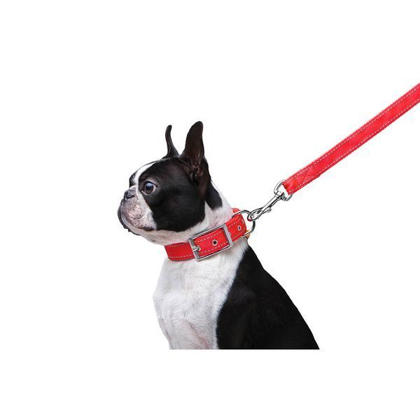 Повідець "Dog Extreme" з нейлону подвійний (ширина 20мм, довжина 122см), червоний 42983 фото