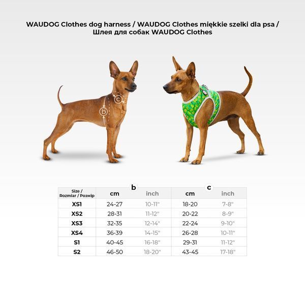 Шлея для собак м'яка WAUDOG Clothes з QR паспортом, малюнок "Диво-жінка в рожевому", XS1, В 24-27 см, С 18-20 см 1001-4010 фото